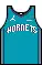 maillot Icon