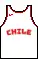 maillot Domicile