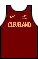 maillot Icon