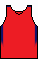 maillot Domicile