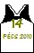 maillot Domicile