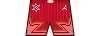 Maillot de laTeam Giannis shorts