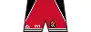 Domicile (Euroligue) shorts