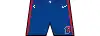 Icon shorts