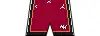 Statement shorts