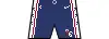 Icon shorts