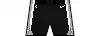Icon shorts