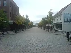 Rue commerçante et piétonne du centre-ville