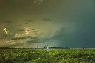 Niverville (Manitoba)