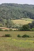 Ključ - panorama
