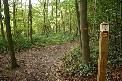 Le GR VA dans le Kloosterbos (Zottegem)&nbsp;(nl)