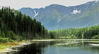 Iskut