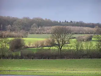 Köthel (Stormarn)
