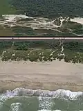 La côte à Knokke et les dunes du Zwin.