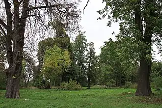 Kołomia (Łódź)