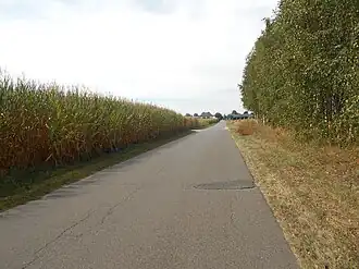 Kobylnica (Mazovie)