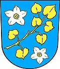 Blason de Kochánov