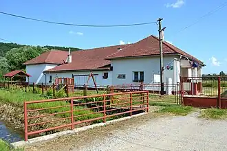 Kociha