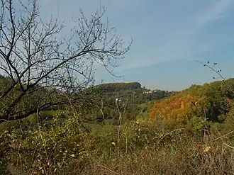 Kočine