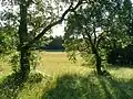 Karutschnig-Wiese heute