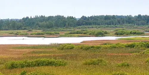 Laimjala