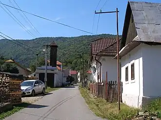 Kojšov
