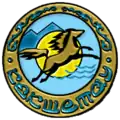 Blason de Kokchetaou