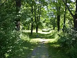 Chemin