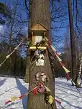 Kolonka