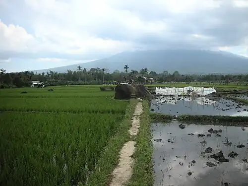 Le site magalithique de Tanjungaro