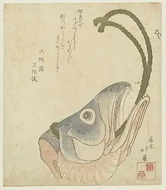 Tête de Saumon, vers 1815–1825