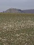 Paysage typique du Jura Souabe : le Kornbühl&nbsp;(en) près de Salmendingen