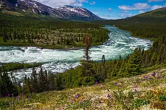 Rivière Koroc