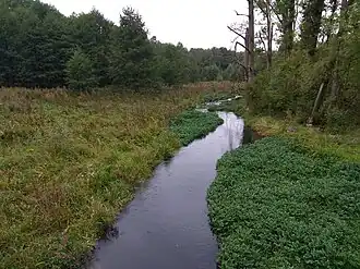 Bychawka Druga