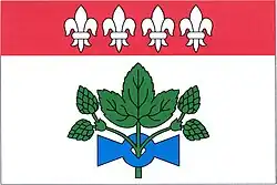 Drapeau de Koštice