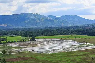 Kota Belud