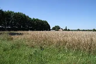Nowe Jastrzębsko