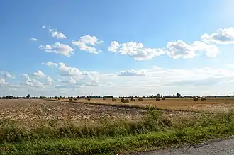 Zgoda (Łanięta)