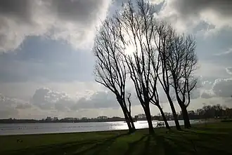 Les rives du lac.