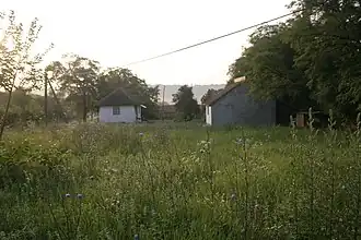 Krćevac