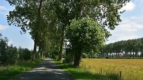 Le Krinkeldijk&nbsp;(nl) à Hoeke