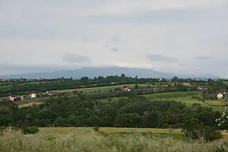 Krnule