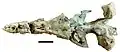 Crâne fossile de Kronosaurus.