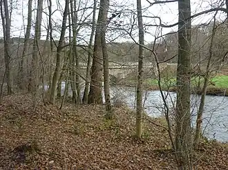 Heimborn