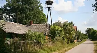 Krowica