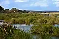 Rivière Sabie, Skukuza