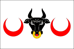 Drapeau de Krumsín