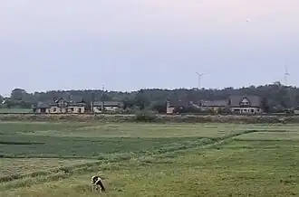 Krzesinówek