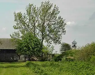 Krzyżanówka