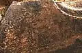 Kef Mektouba de Ksar el Hamar, Bubale